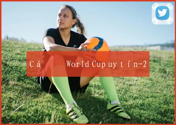 Cá độ World Cup uy tín